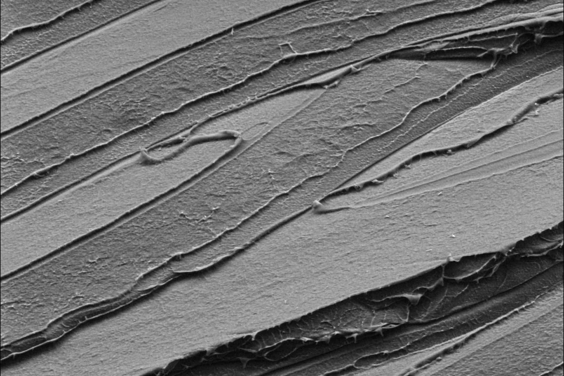 Polymers