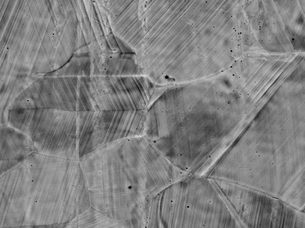 A stainless-steel sample imaged under in situ tensile load test. Using the AsB detector, images have extremely high contrast and capture the slip bands formation during in situ loading as shown in the images of before (left) and after loading (right).