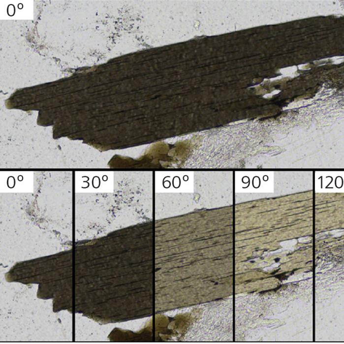 Close up of a single biotite grain within a granite sample. Sample has been imaged in multiple PPL orientations in order to observe the full range of pleochrosim as the sample is rotated through 180° relative to the polarizer.
