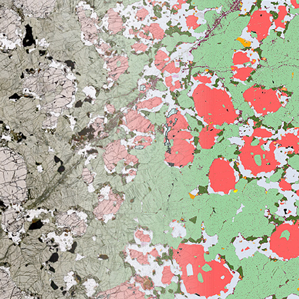 Use ZEN Connect to intuitively build correlative projects that start with the data-rich, light microscopy environment from ZEISS Axioscan 7 Geo