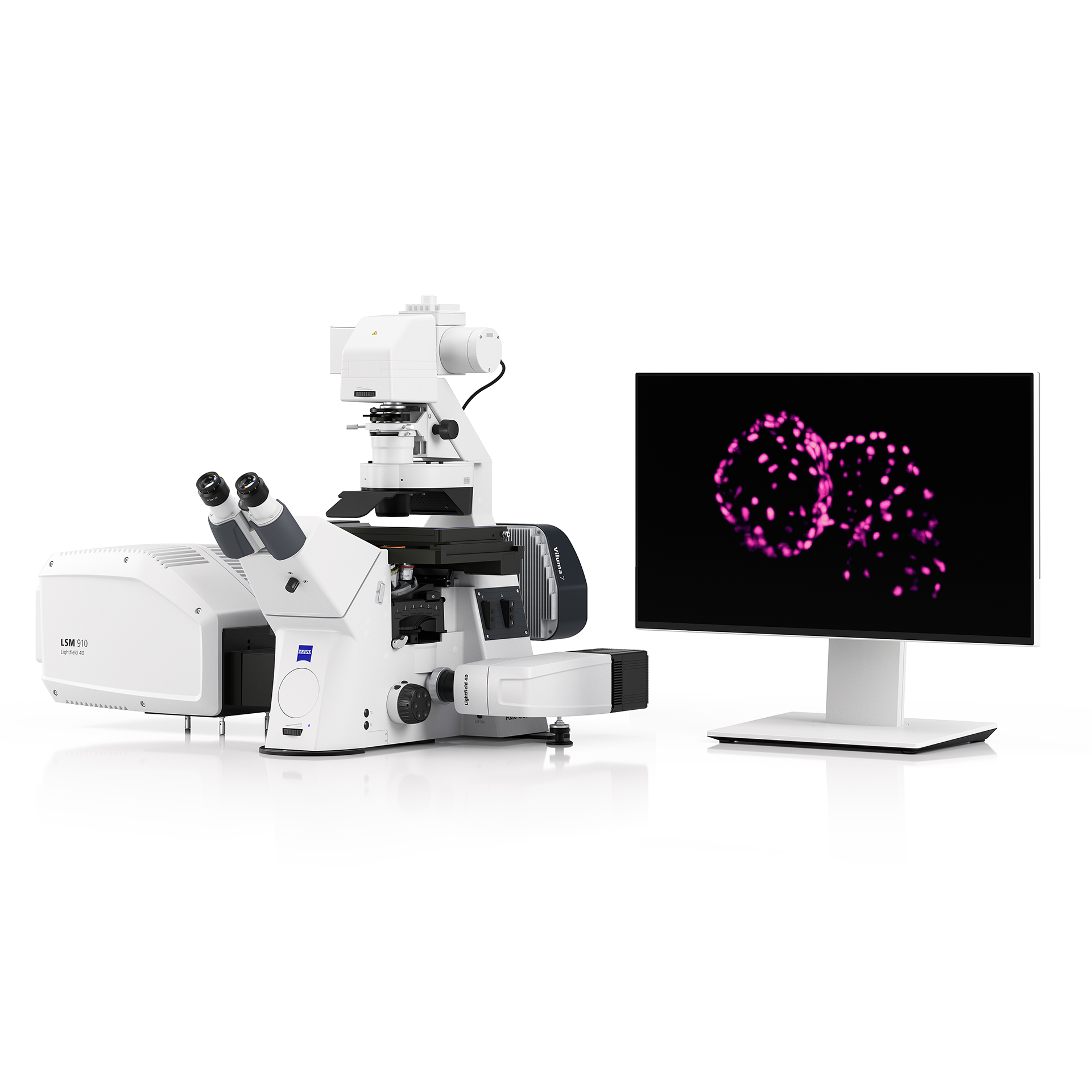 Image de ZEISS LSM Lightfield 4D