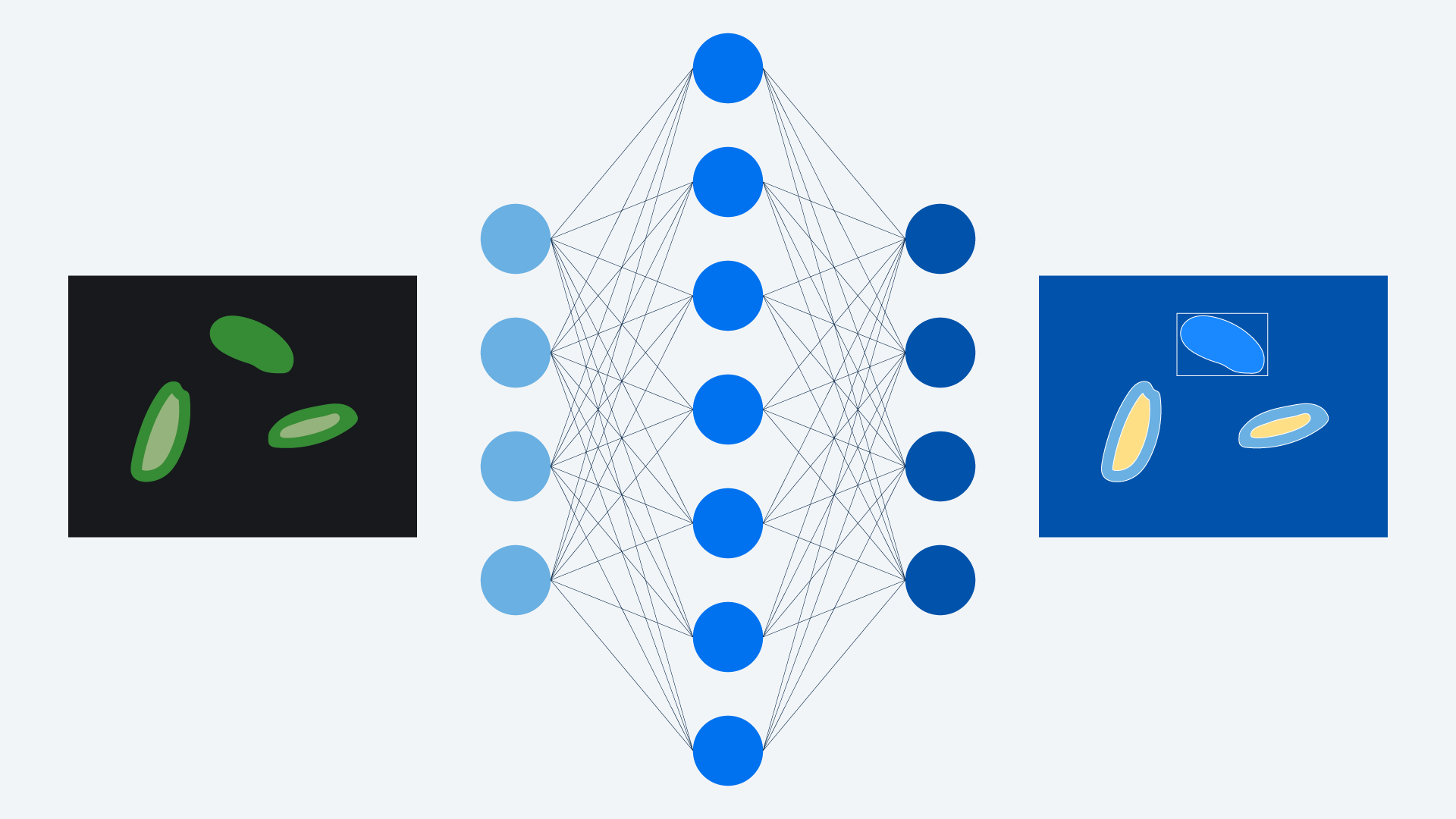 Segment, classify, and denoise images based on deep learning algorithms accessible through a dedicated user interface for training AI models 