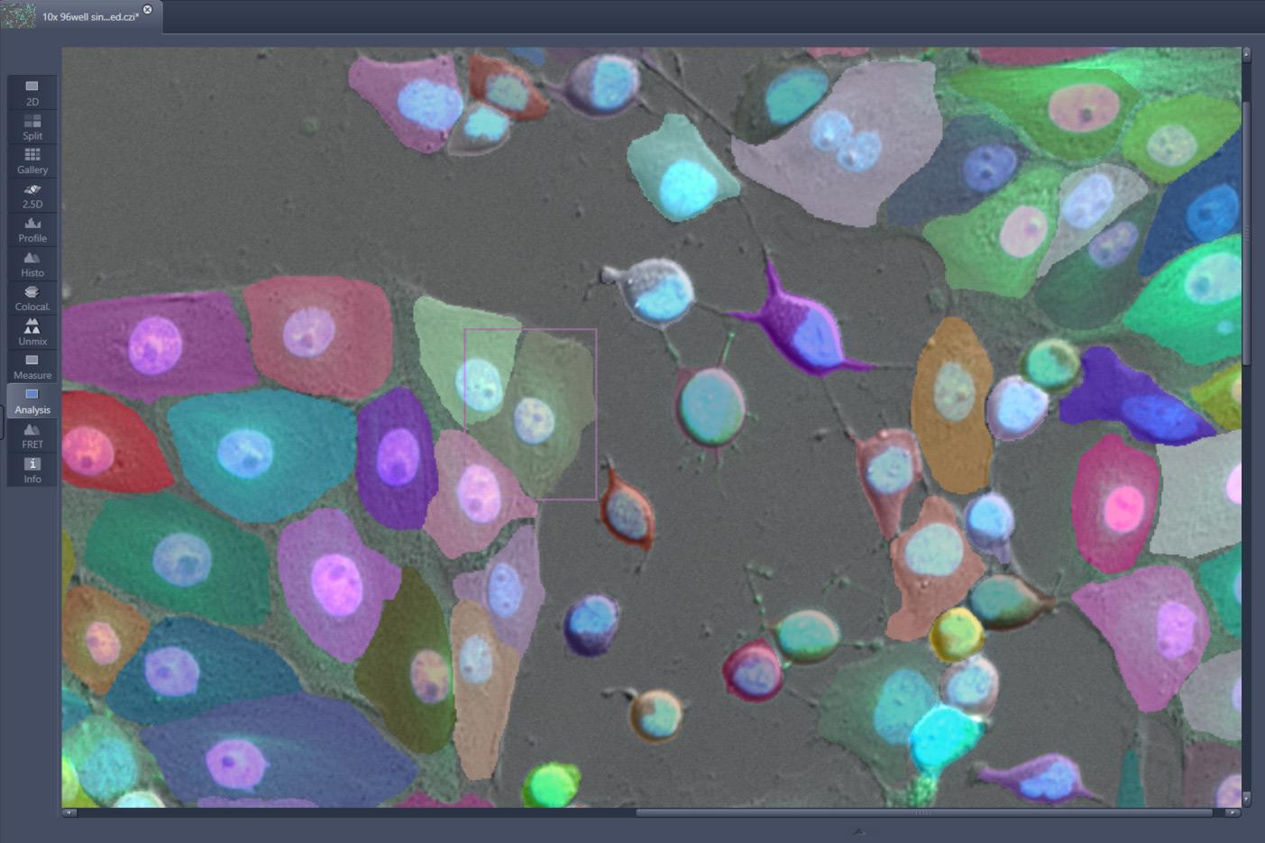 Instance Segmentation 