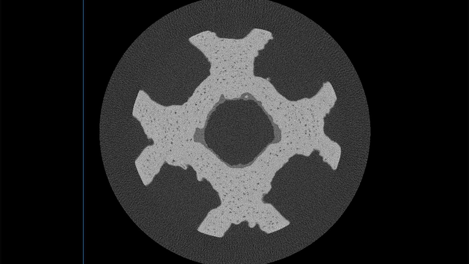 3D printed plastic lattice imaged in 17 seconds in FAST Mode on FPX.