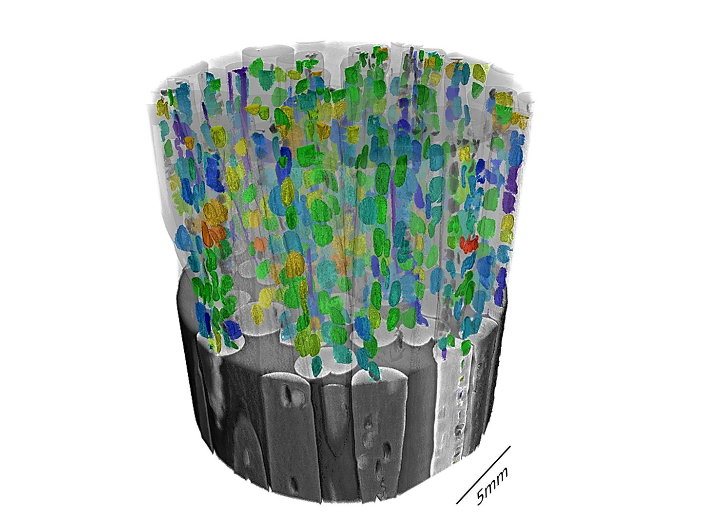 The 3D rendering shows a high-resolution 3D dataset processed using ZEISS PhaseEvolve to enhance the microvoids in individual fibers. Color represents void volume.
