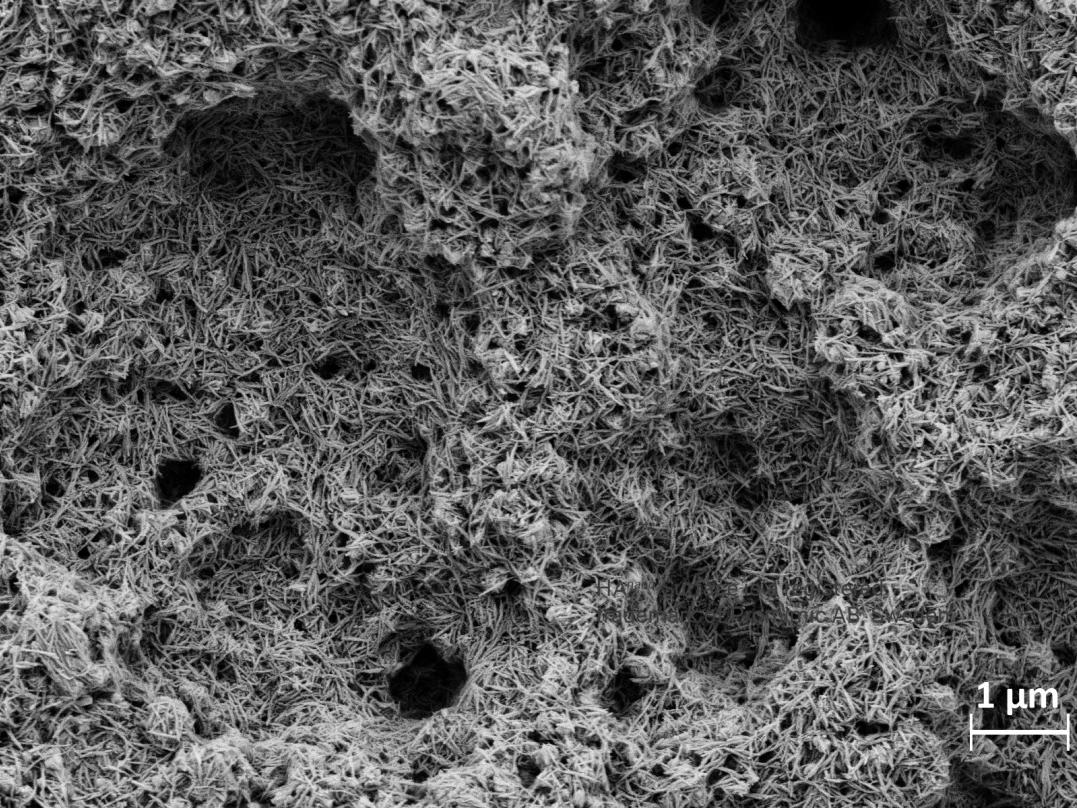 ZEISS Sigma | HAnano surface
