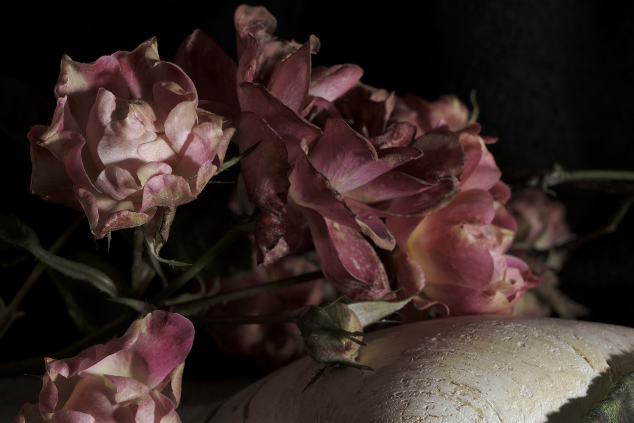 Photo d'un bouquet de roses